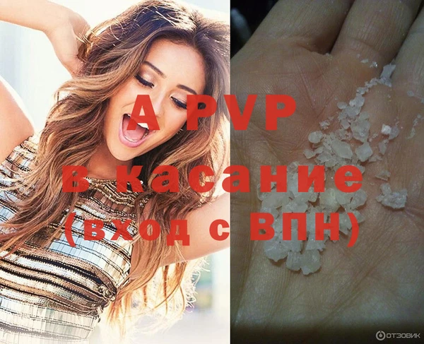 ECSTASY Козельск