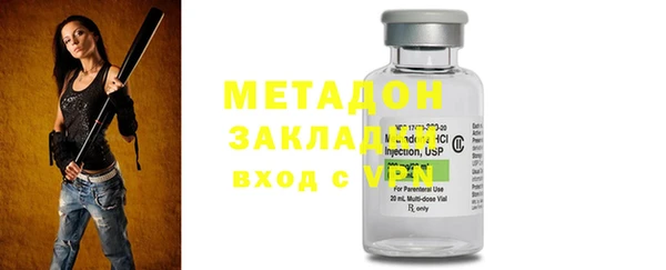 прущие грибы Коряжма