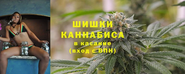 прущие грибы Коряжма